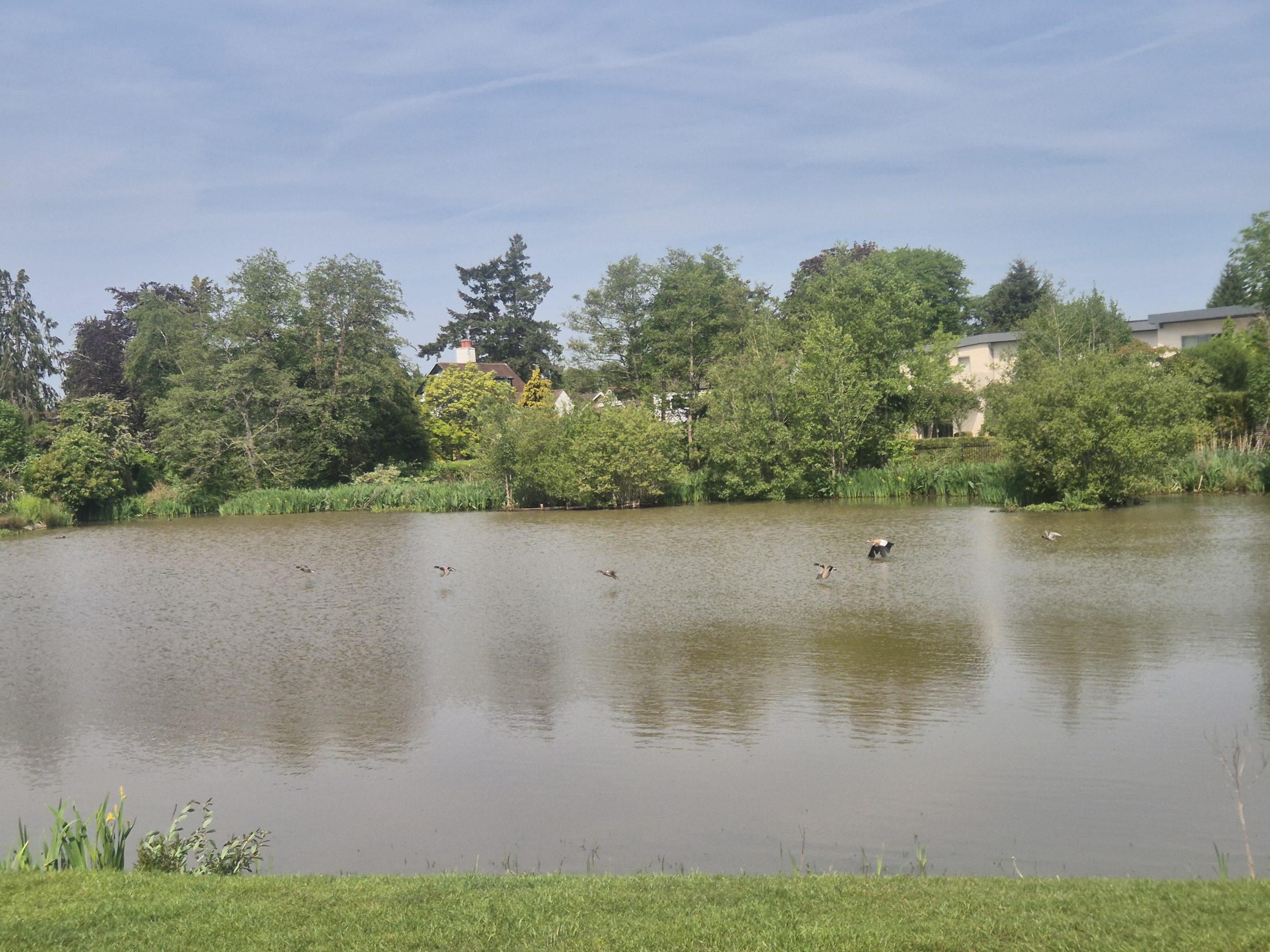 How Conservation of Green Spaces Supports Community Wellbeing