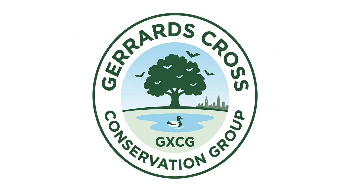 GXCF logo
