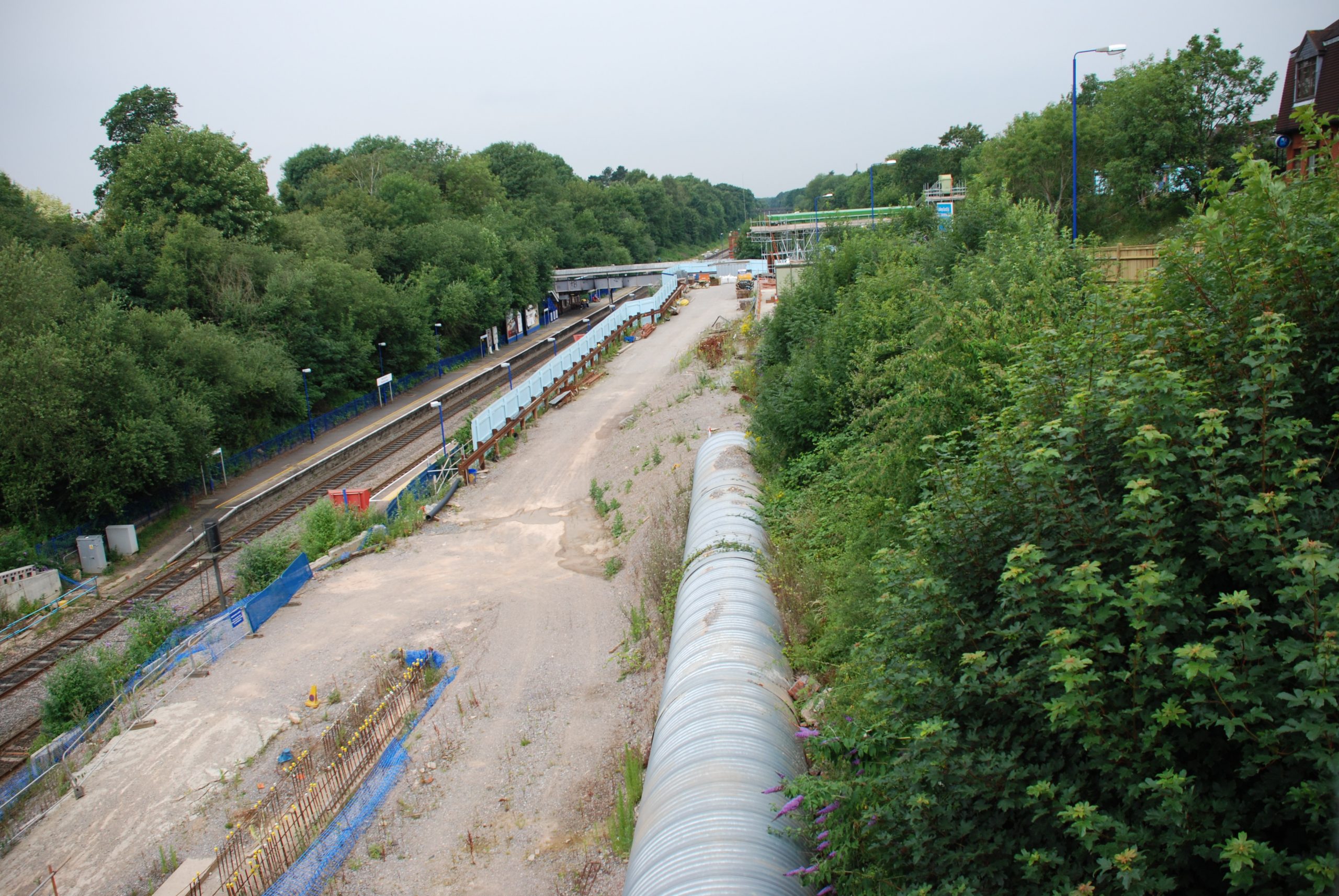 Why Gerrards Cross Must Prioritise the Conservation of Green Spaces