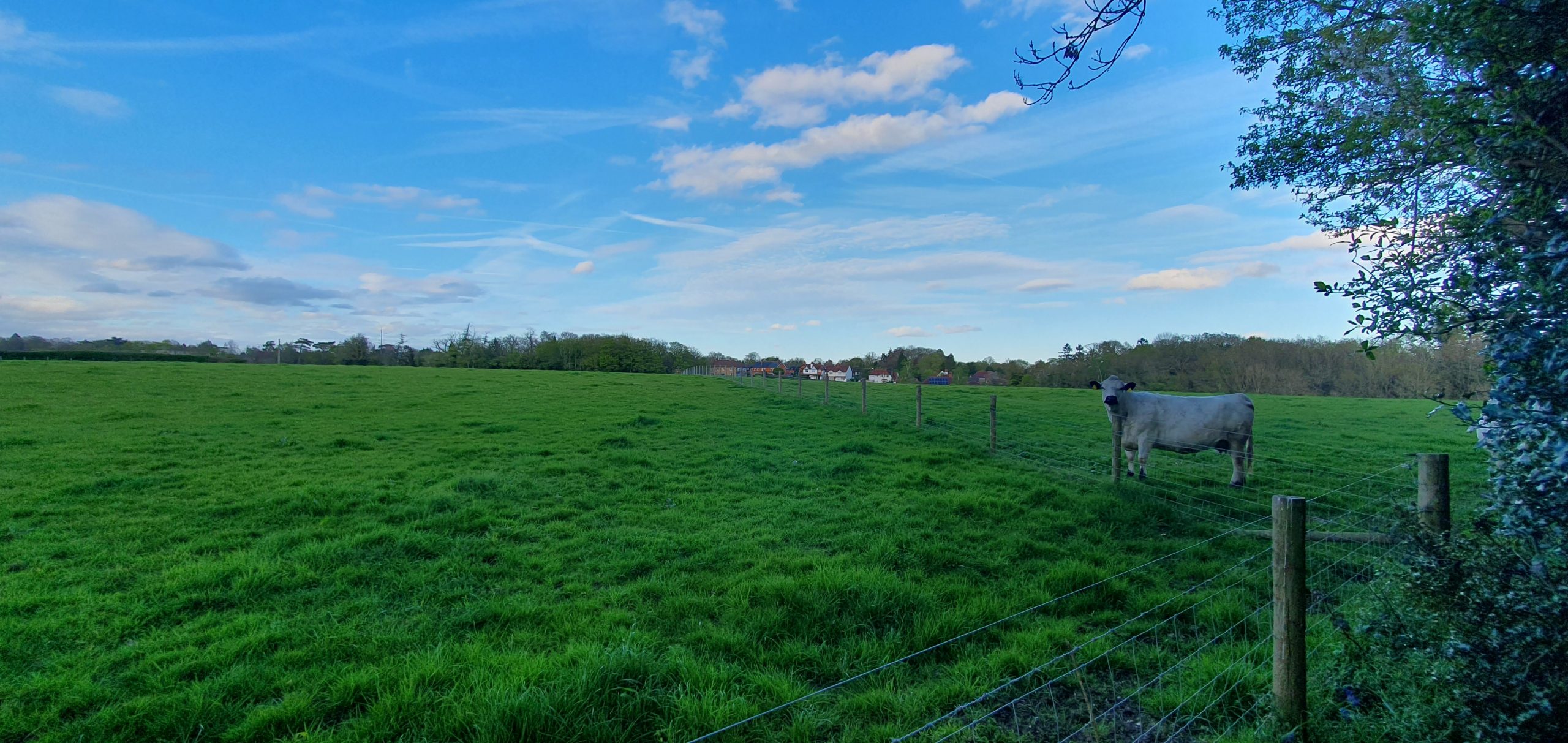 The Community Value of Protecting Conservation Areas